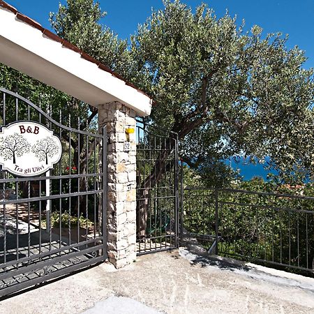 Tra Gli Ulivi Bed and Breakfast Pietra Ligure Eksteriør billede