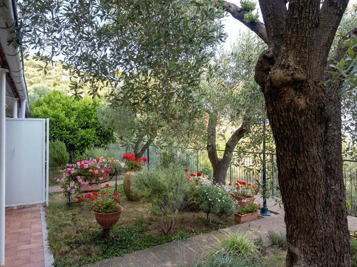 Tra Gli Ulivi Bed and Breakfast Pietra Ligure Eksteriør billede