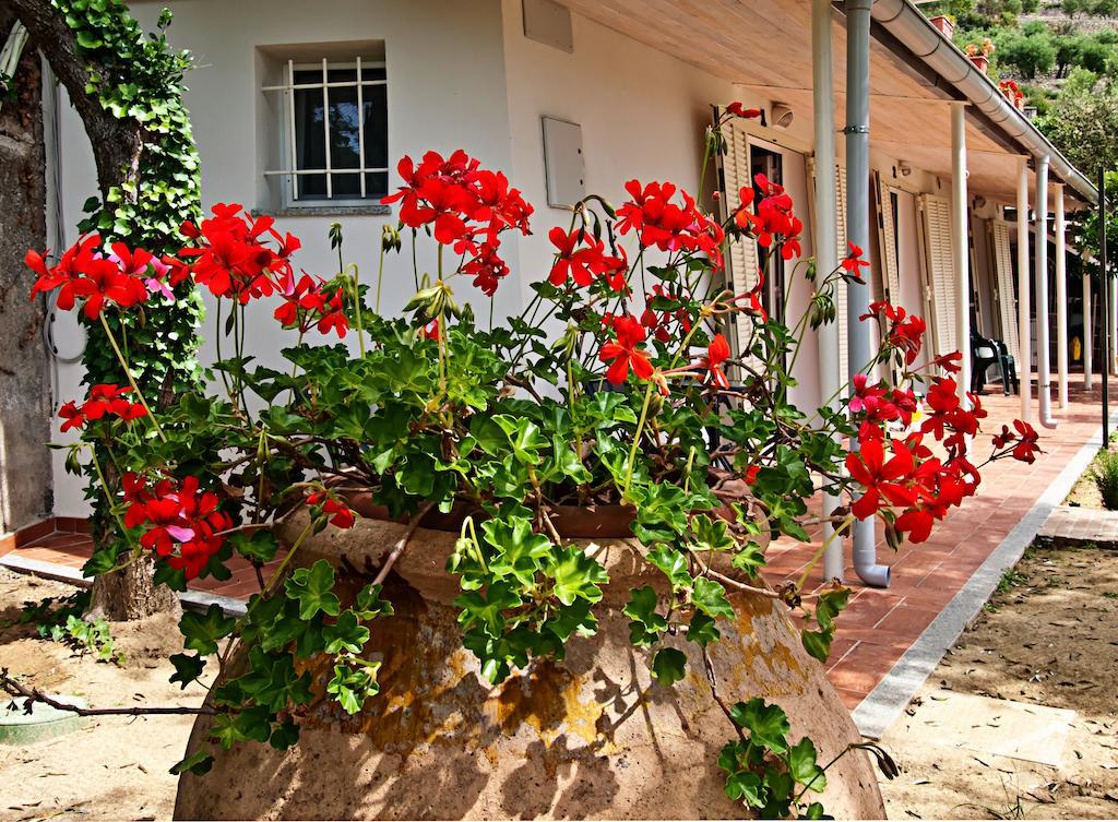 Tra Gli Ulivi Bed and Breakfast Pietra Ligure Eksteriør billede
